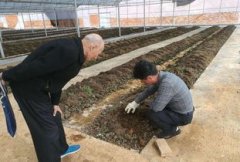 <b>跟着人们对食物平安和养分健康的沉</b>